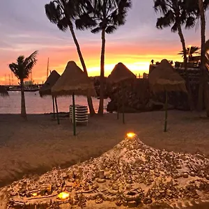 https://ocean-view-apartment-palm-mar.tenerifehoteles.net